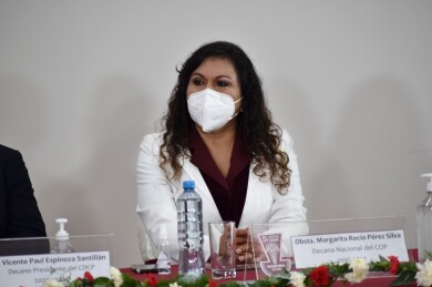 ColegioDeObstetras.pe