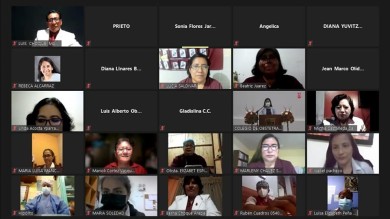 ColegioDeObstetras.pe