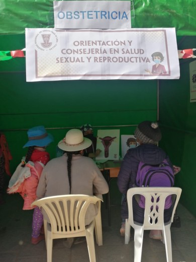 ColegioDeObstetras.pe