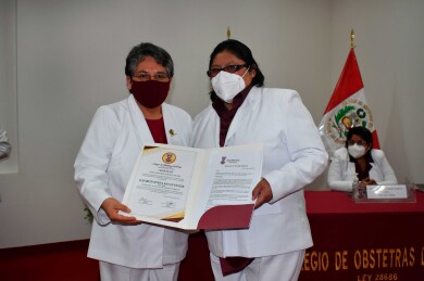 ColegioDeObstetras.pe