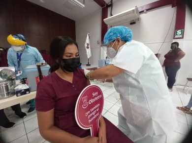 ColegioDeObstetras.pe