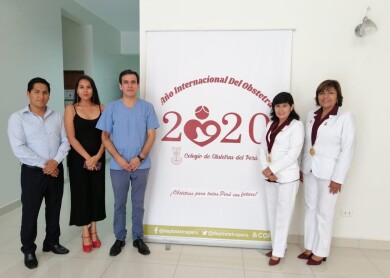 ColegioDeObstetras.pe