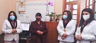 ColegioDeObstetras.pe