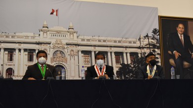 ColegioDeObstetras.pe