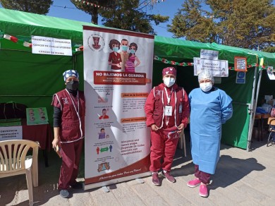 ColegioDeObstetras.pe