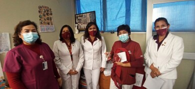 ColegioDeObstetras.pe