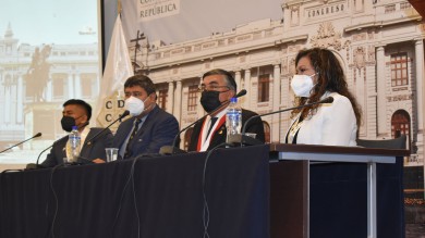 ColegioDeObstetras.pe