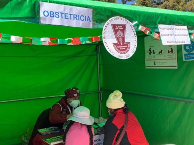 ColegioDeObstetras.pe