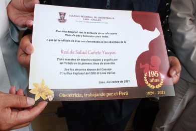 ColegioDeObstetras.pe