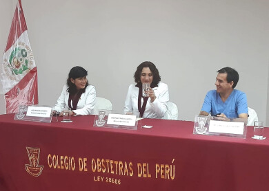 ColegioDeObstetras.pe