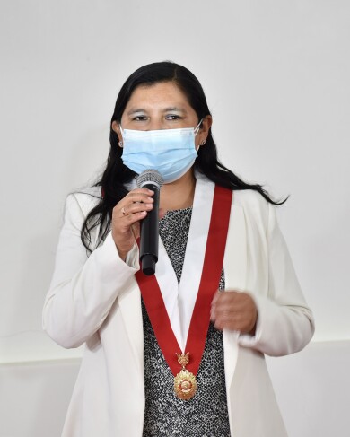 ColegioDeObstetras.pe