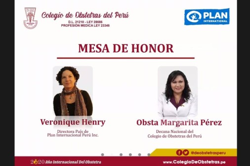 ColegioDeObstetras.pe