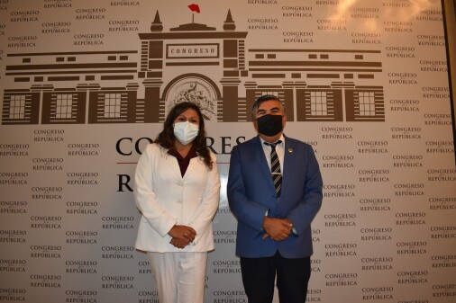 ColegioDeObstetras.pe