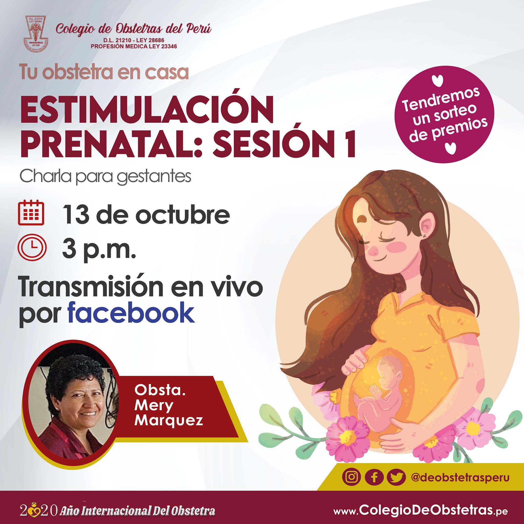 EstimulaciÓn Prenatal SesiÓn 1 Colegio De Obstetras Del Perú