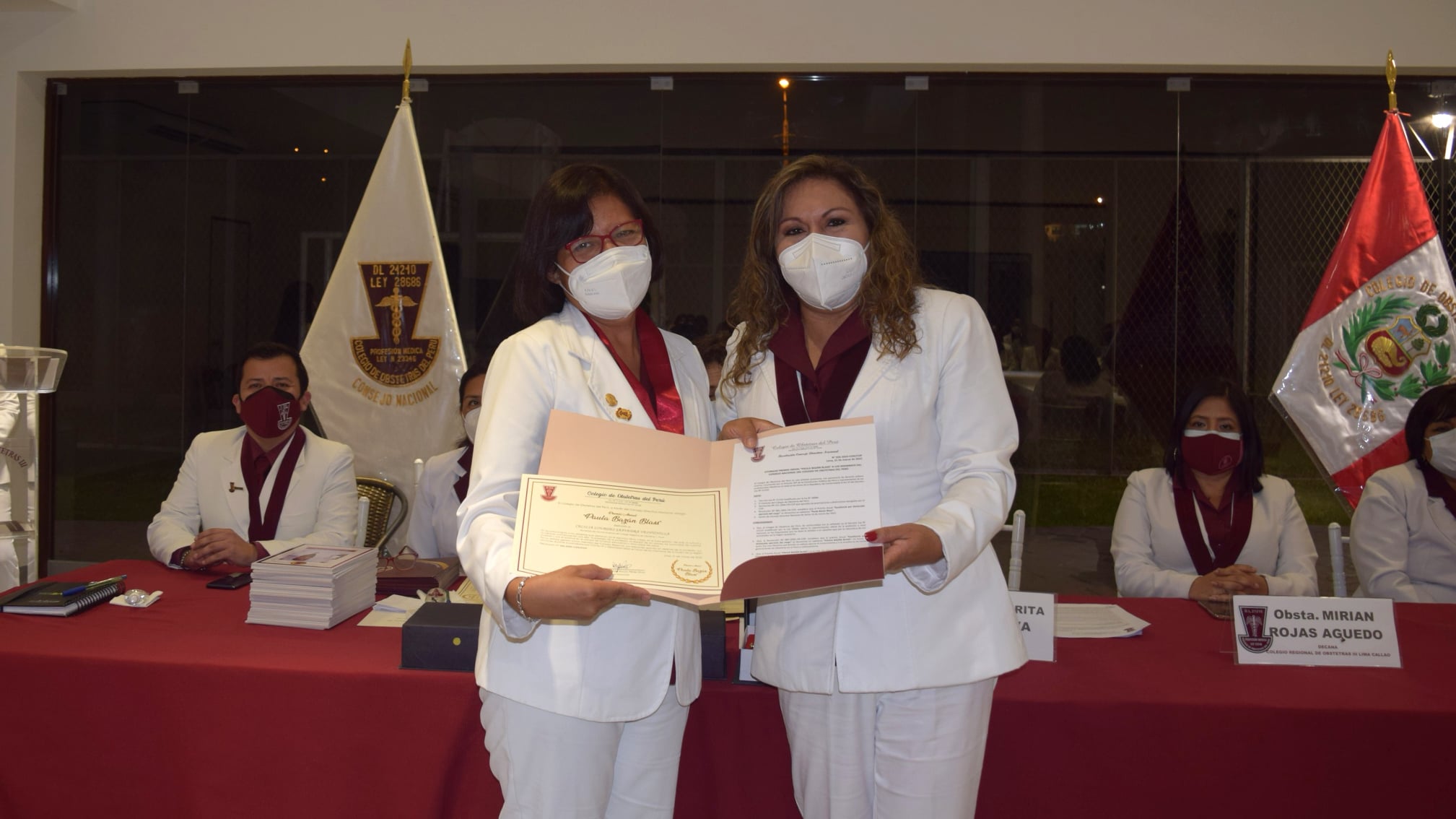 ColegioDeObstetras.pe