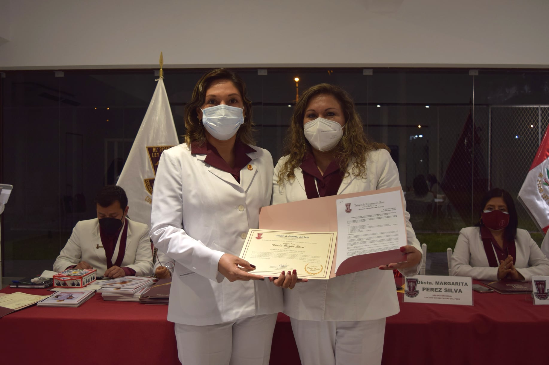 ColegioDeObstetras.pe