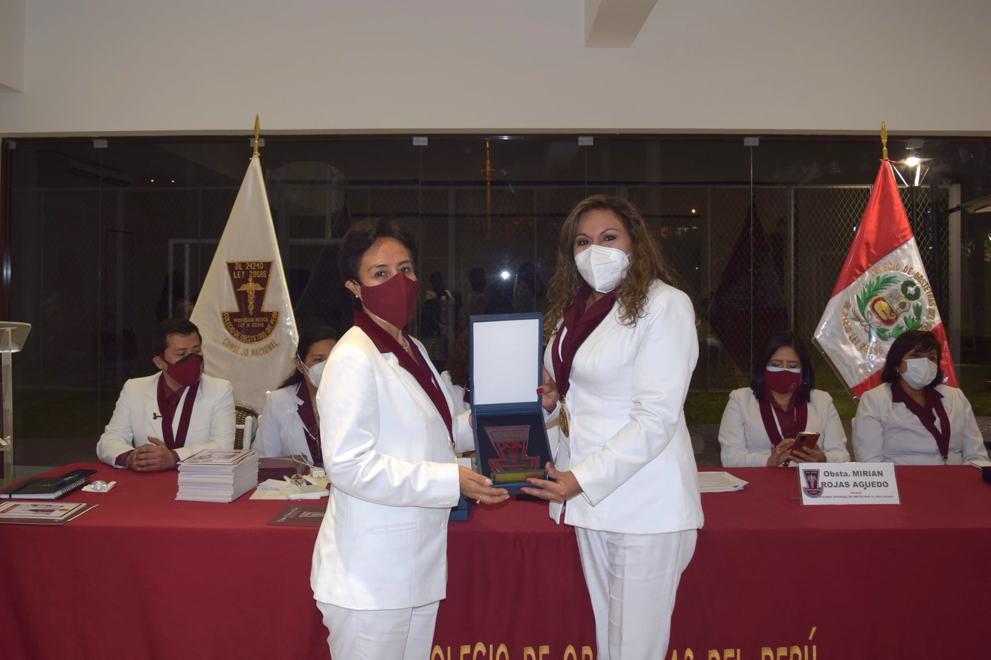 ColegioDeObstetras.pe
