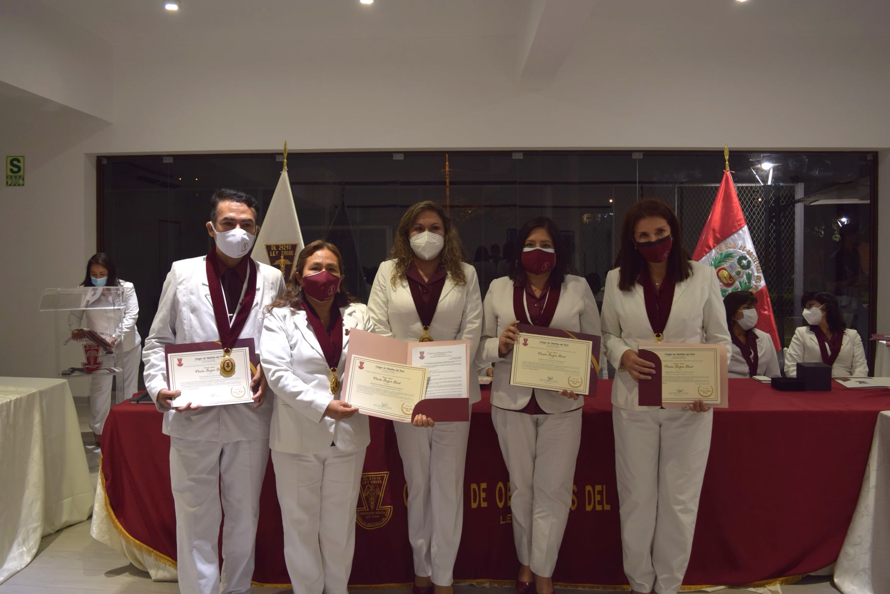ColegioDeObstetras.pe